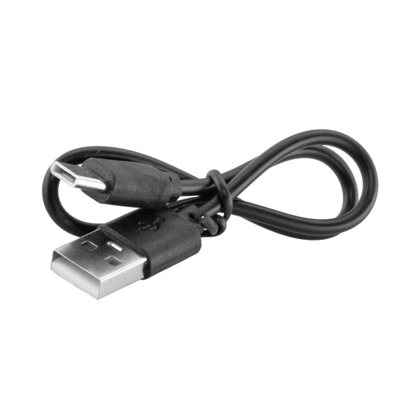 Porte-clefs électrochoc 100 000 V Concorde Defender